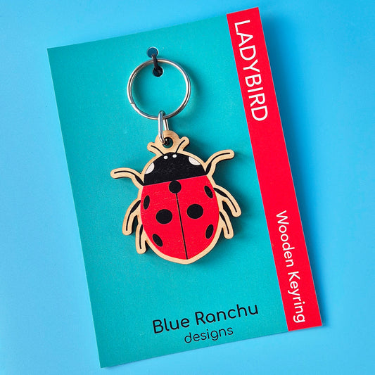 Ladybird shaped wooden keyring on a turquoise backing card