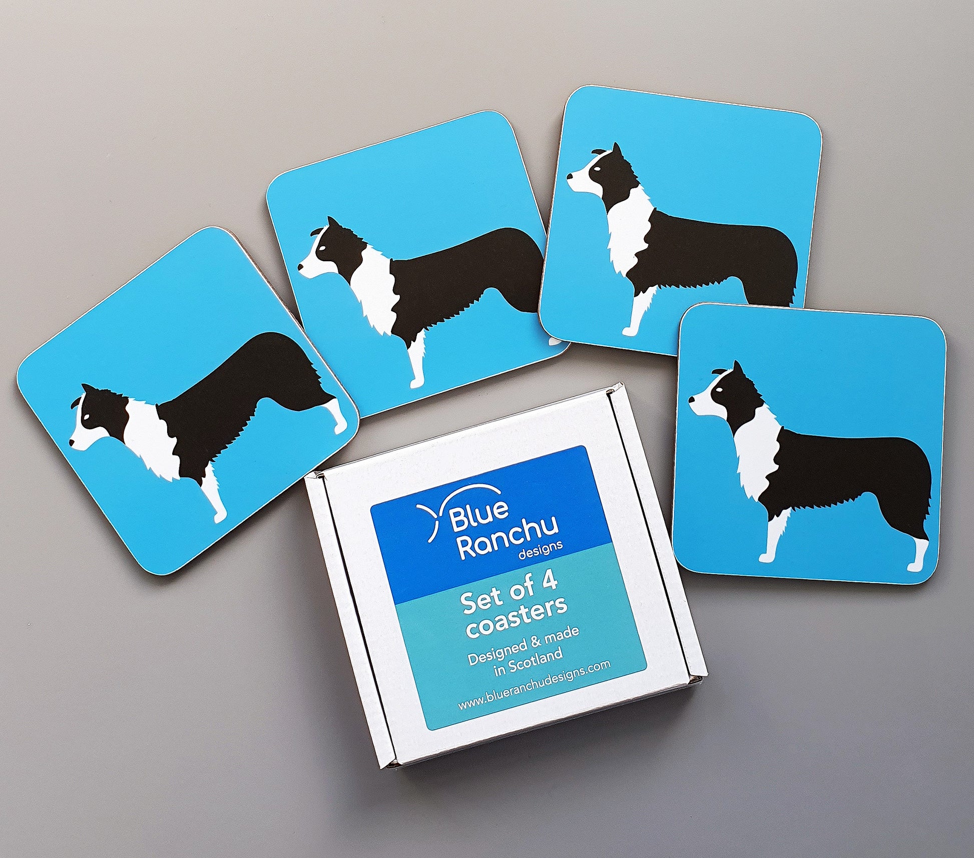 Border Collie coaster set in cardboard gift box