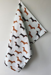 Dachshunds tea towel hanging up