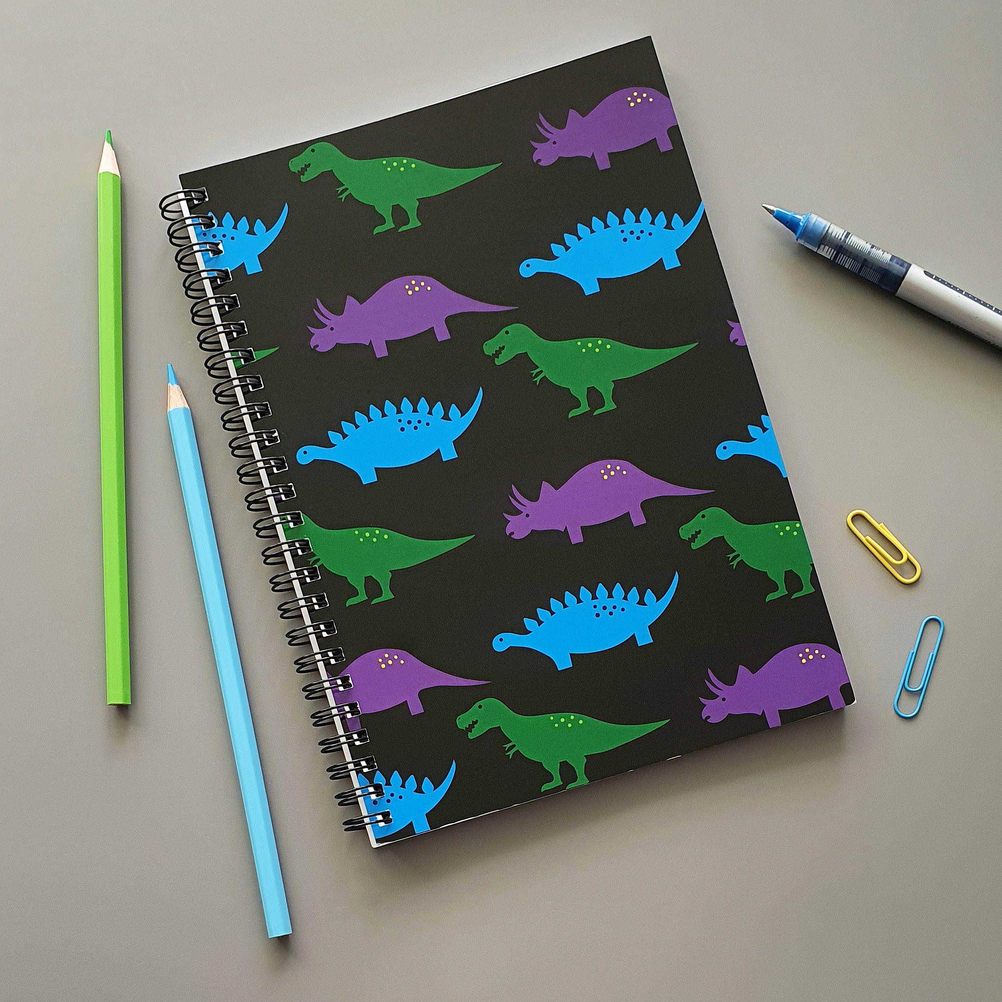 Dinosaurs A5 wire bound notebook