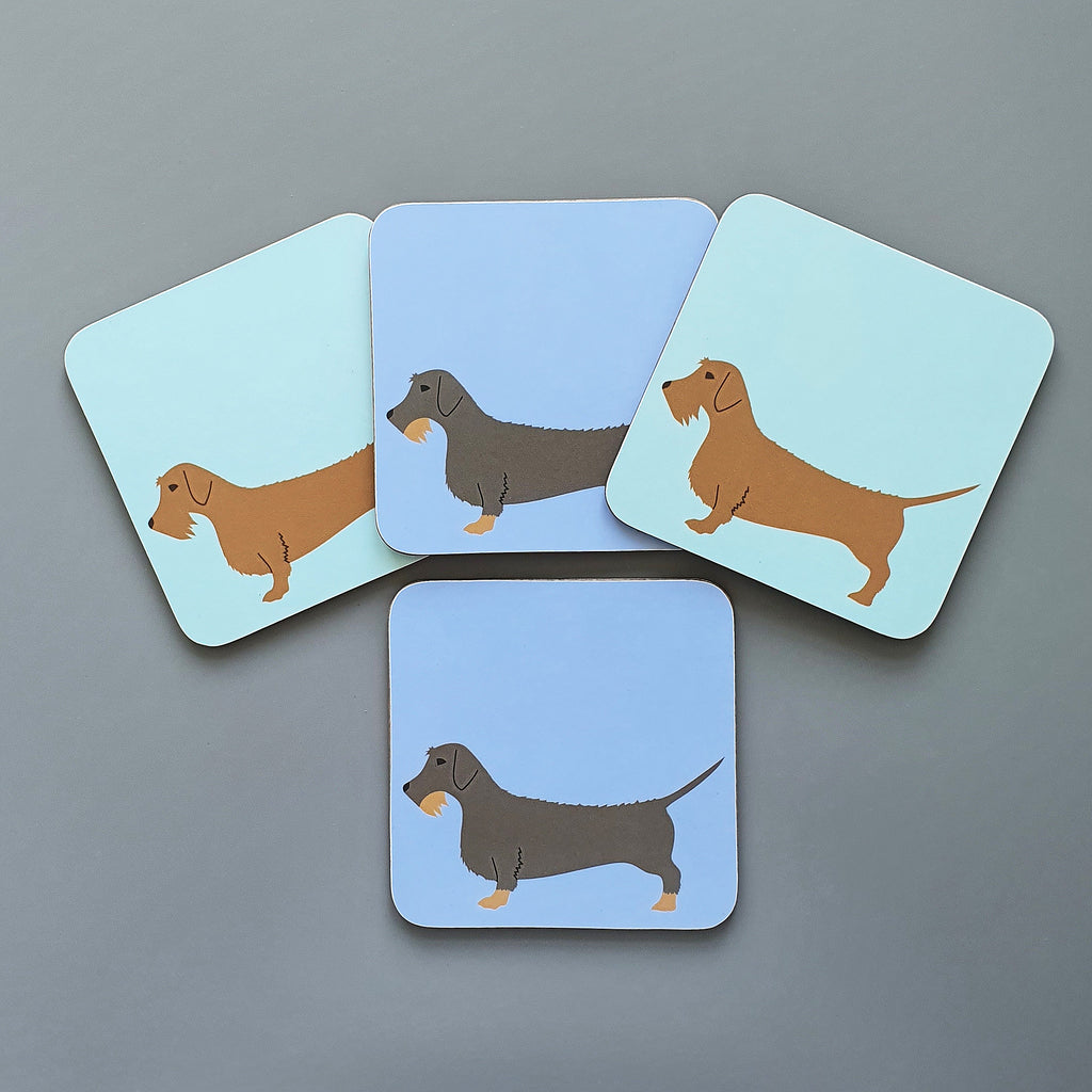 Mixed Wire Haired Dachshund coasters - set of 4