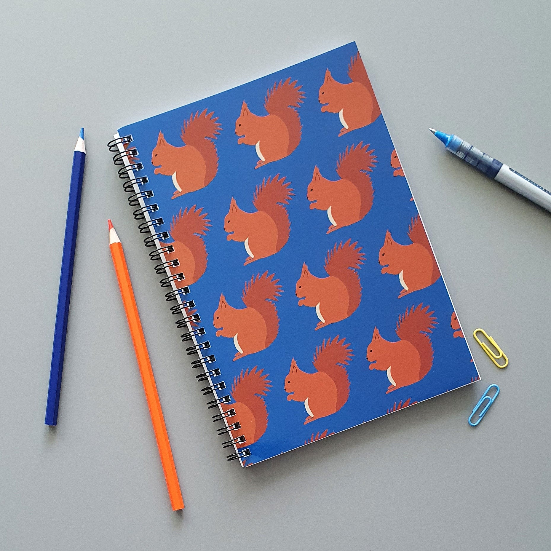 Red Squirrel A5 wirebound notebook