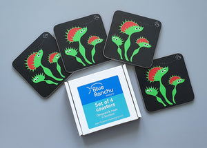 Set of 4 Venus Fly Trap coasters with gift box